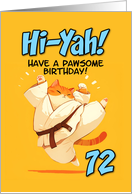72 Years Old Happy Birthday Cartoon Karate Kick Ginger Cat card