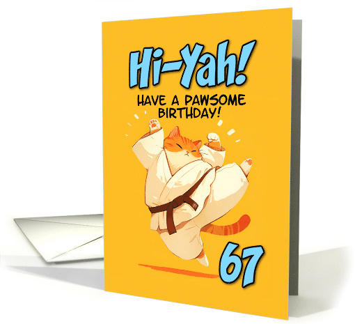 67 Years Old Happy Birthday Cartoon Karate Kick Ginger Cat card