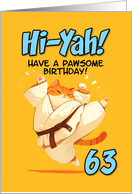 63 Years Old Happy Birthday Cartoon Karate Kick Ginger Cat card