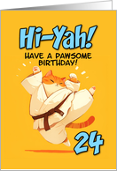 24 Years Old Happy Birthday Cartoon Karate Kick Ginger Cat card