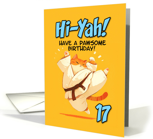 17 Years Old Happy Birthday Cartoon Karate Kick Ginger Cat card