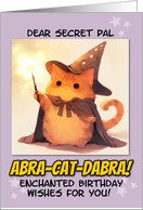 Secret Pal Happy Birthday Kawaii Wizard Magical Ginger Cat card