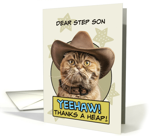 Step Son Thanks a Heap exotic Shorthair Cat Cowboy card (1873896)