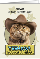 Step Brother Thanks a Heap exotic Shorthair Cat Cowboy card