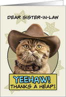 Sister in Law Thanks a Heap exotic Shorthair Cat Cowboy card