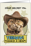 Secret Pal Thanks a Heap exotic Shorthair Cat Cowboy card