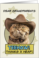 Grandparents Thanks a Heap exotic Shorthair Cat Cowboy card