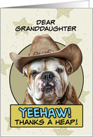Granddaughter Thanks a Heap English Bulldog Cowboy card