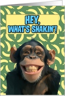 Hi Hello Cartoon Chimpanzee card