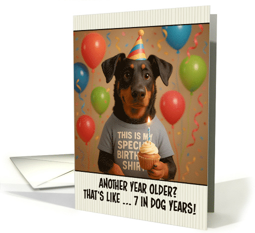 Happy Birthday Beauceron Dog with T Shirt and Cupcake card (1923842)