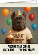 Happy Birthday Cane Corso Dog with T Shirt and Cupcake card