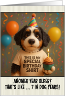 Happy Birthday Bernedoodle Dog with T Shirt and Cupcake card