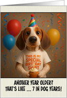 Happy Birthday English Coonhound with T Shirt and Cupcake card