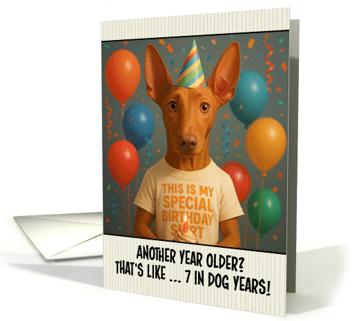 Happy Birthday Pharaoh Hound with T Shirt and Cupcake card (1924812)