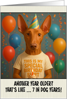 Happy Birthday Pharaoh Hound with T Shirt and Cupcake card