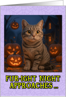 American Shorthair Cat Halloween with Carved Pumpkins card