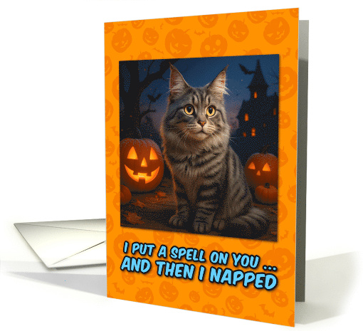 Silver Tabby Maine Coon Cat Halloween with Carved Pumpkins card