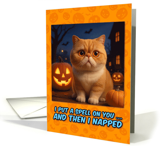 Exotic Shorthair Cat Halloween with Carved Pumpkins card (1929188)