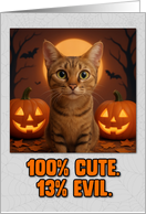 Chausie Cat Halloween with Carved Pumpkins card