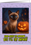Tonkinese Cat Halloween with Carved Pumpkins card