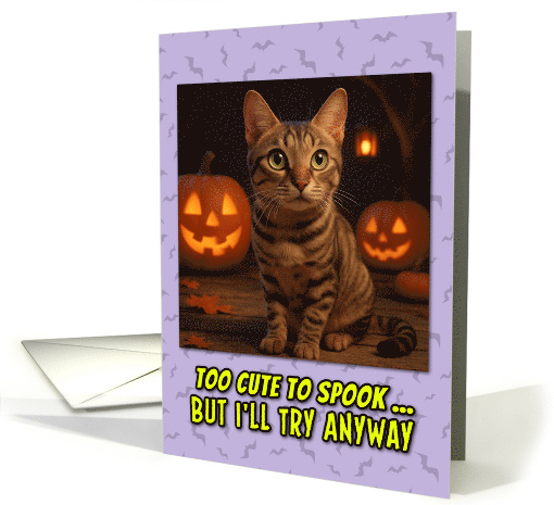 Sokoke Cat Halloween with Carved Pumpkins card (1929240)