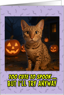 Ocicat Halloween with Carved Pumpkins card