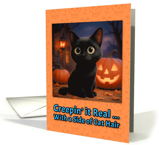 Domestic Shorthair Black Cat Halloween with Carved Pumpkins card