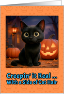 Domestic Shorthair Black Cat Halloween with Carved Pumpkins card