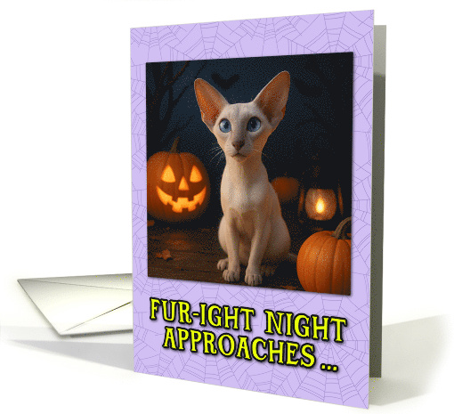 Lilac Point Modern Siamese Cat Halloween with Carved Pumpkins card