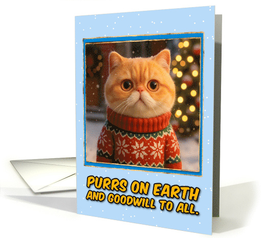 Exotic Shorthair Cat in Knitted Christmas Sweater Outdoors Scene card