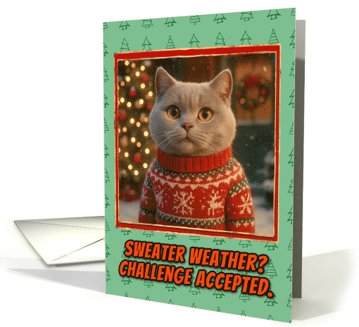 British Shorthair Cat in Knitted Christmas Sweater Outdoors Scene card