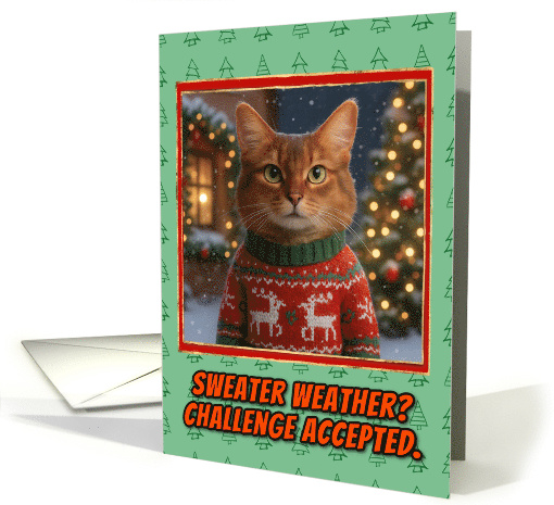Somali Cat in Knitted Christmas Sweater Outdoors Scene card (1930328)