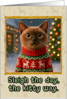 Burmese Cat in Knitted Christmas Sweater Outdoors Scene card
