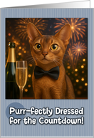 Abyssinian Cat with Bow Tie and Champagne New Year Fireworks card