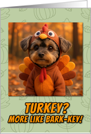 Yorkipoo Dog in Turkey Suit Thanksgiving Autumn Forest card