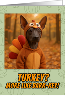 Xoloitzcuintle Dog in Turkey Suit Thanksgiving Autumn Forest card