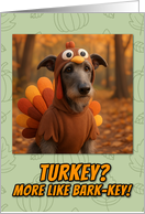 Scottish Deerhound in Turkey Suit Thanksgiving Autumn Forest card