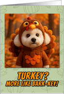 Bichon Frise Dog in Turkey Suit Thanksgiving Autumn Forest card
