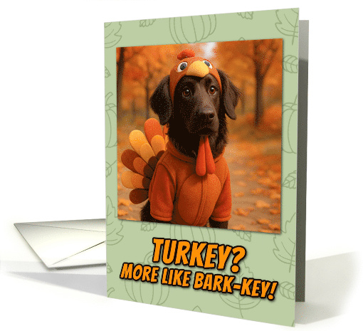 Flat Coated Retriever Dog in Turkey Suit Thanksgiving... (1941910)