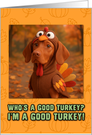 Vizsla Dog in Turkey Suit Thanksgiving Autumn Forest card