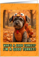 Yorkipoo Dog in Turkey Suit Thanksgiving Autumn Forest card