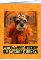 Schnauzer Dog in Turkey Suit Thanksgiving Autumn Forest card