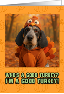 Griffon Blue de Gascogne Dog in Turkey Suit Thanksgiving Autumn Forest card