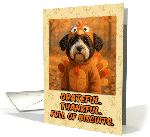 Tibetan Terrier Dog in Turkey Suit Thanksgiving Autumn Forest card