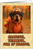 Tibetan Mastiff Dog in Turkey Suit Thanksgiving Autumn Forest card