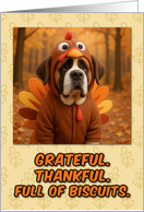 Saint Bernard Dog in Turkey Suit Thanksgiving Autumn Forest card
