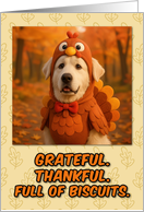 Great Pyrenees Dog in Turkey Suit Thanksgiving Autumn Forest card