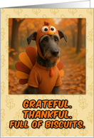 Scottish Deerhound in Turkey Suit Thanksgiving Autumn Forest card