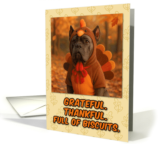 Cane Corso Dog in Turkey Suit Thanksgiving Autumn Forest card