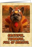Cairn Terrier Dog in Turkey Suit Thanksgiving Autumn Forest card